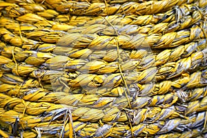 Abstract grunge background - yellow dry straw