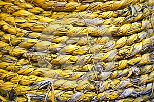 Abstract grunge background - yellow dry straw photo