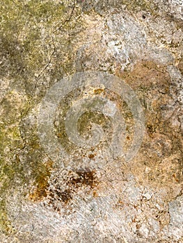 Abstract Grunge Concrete Surface with Moss and Cracks