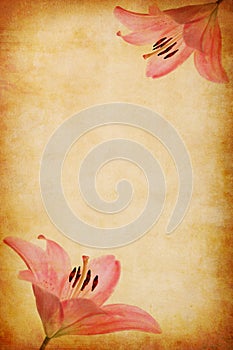 Abstract grunge pink lilly background