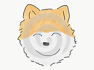 Abstract hand draw sketch doodle pomeranian dog smile face isolate, illustration, watercolor paint style, digital art photo