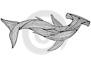 Abstract hand drawn giant hammer shark isolated on white background. Vector illustration. Outline. Line art. Top view