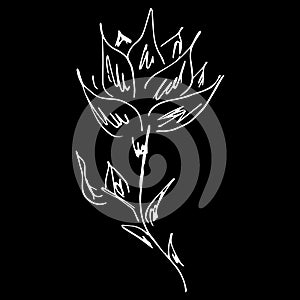 Abstract hand drawn lotus flower isolated on black background. Vector illustration. Outline sketch. Lotus logo