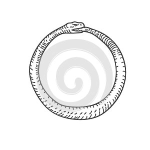 Abstract hand Drawn Snake Eating Tail Vector