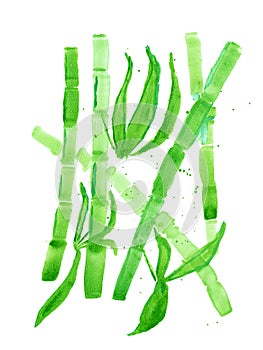 Abstract hand-drawn watercolor picture with bamboo