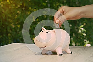 Abstract hand putting the coin in pig piggy bank on desk Ideas for earning a business income and saving for retirement planning