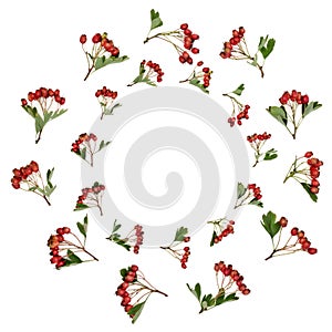 Abstract Hawthorn Berry Wreath