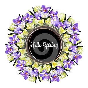 Abstract hello spring background, delicate spring crocus flowers collected in a floral bouquet frame