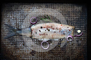 Abstract herring fish with spices on old grunge metal plate creative still life