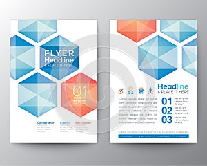 Abstract hexagon Poster Brochure Flyer design template Layout