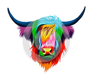 Abstract highland cow head portrait, scottish highland cow from multicolored paints. Colored drawing