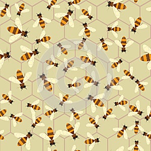 Abstract honey print. Vector seamless pattern with bee and honeycomb