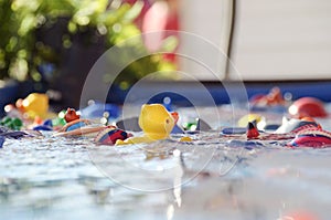 Abstract Hook a Duck game at fair ~ Perspective small child