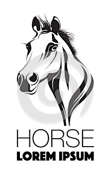 Abstract horses head