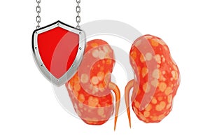 Abstract Human Kidneys Anatomy Structure Protected by Red Shield. 3d Rendering photo