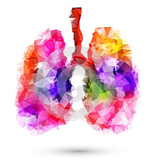 Abstract human lungs with multicolored polygon on white