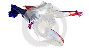 Abstract Humanoid Figure Enveloped in the Flowing Tricolors of the French Flag