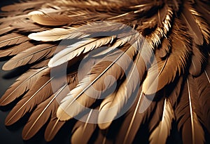 abstract idea with browen and gold fabric feathers