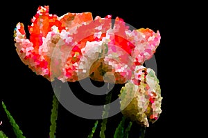 Abstract illlustration of tulips with buds. Decomposition in raster graphics in front of black background