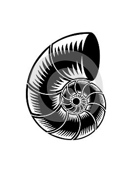 Abstract illustrated spiral