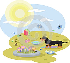 Abstract illustration of a Dachshund dog with toys in a meadow on a Sunny day