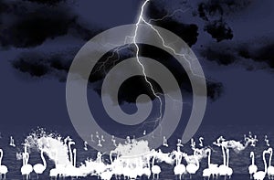 Abstract illustration of flamingo birds silhouettes against thunderstorm background in blue and white color.