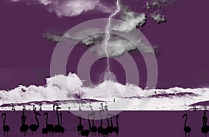 Abstract illustration of flamingo birds silhouettes against thunderstorm background in purple. Storm with heavy thunder lightning.