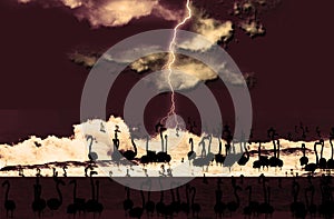 Abstract illustration of flamingo birds silhouettes against thunderstorm background in sepia color.