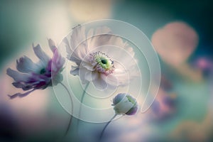 Abstract illustration with flowers in pastel colors. Soft blur background effect. photo