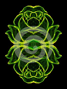 abstract illustration lotos.