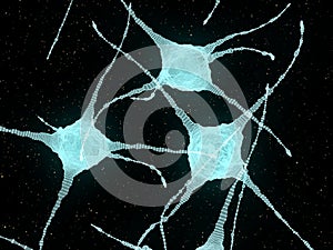 Abstract Illustration of Neurons In The Head Brain