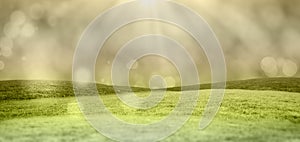 Abstract illustration of spots of bokeh light against green grass in background