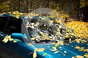 Abstract image with car in the autumn leaf on the windshield