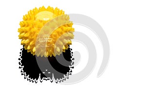 Abstract image of coronavirus. A yellow ball with the silhouette of a skull and a shadow in the form of a bat .