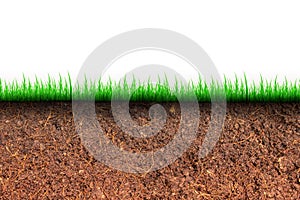 Cross section brown soil and green grass in underground.