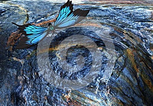 Abstract image: the flight of a butterfly. 3D rendering.