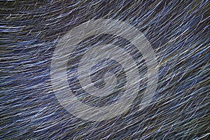 Abstract image of lines and dots