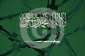 Abstract image of the national flag of Saudi Arabia with twisted barbed wire