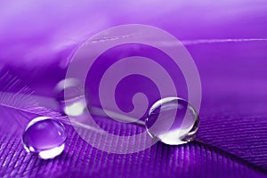 A abstract image of purple color fluffy feathers with three macro water dew drop, beautiful natural background.