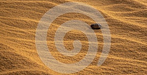 Abstract image of a round stone in the sand desert, which will soon be covered by the blowing sand photo
