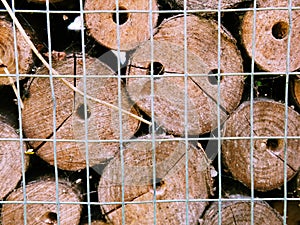 Abstract image of a stack of logs