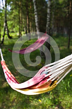 Two colorful hammocks in garden photo