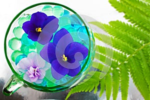 Abstract image with violets on floricultural theme