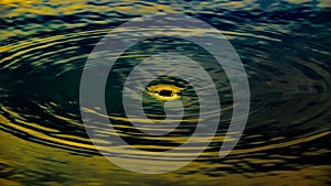 Abstract image of whirlpool hole of water at lake or pond like a blackhole in universe. photo