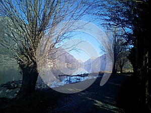 Abstract images through the trees from the Lake Idro, Italy