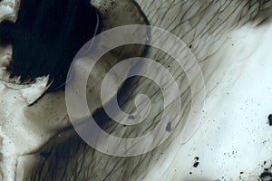 Abstract ink background. Marble style. Black paint stroke texture on white paper. Wallpaper for web and game design
