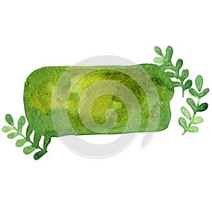 Abstract ivy fern wreath, tropical fern frame watercolor background.