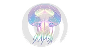 Abstract Jellyfish Illustration
