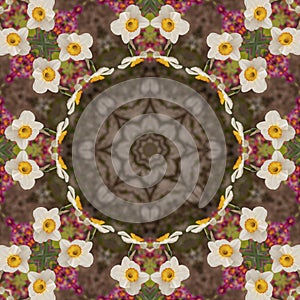 Abstract kaleidoscope with daffodil flowers at springtime