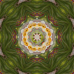 Abstract kaleidoscope with daffodil flowers at springtime